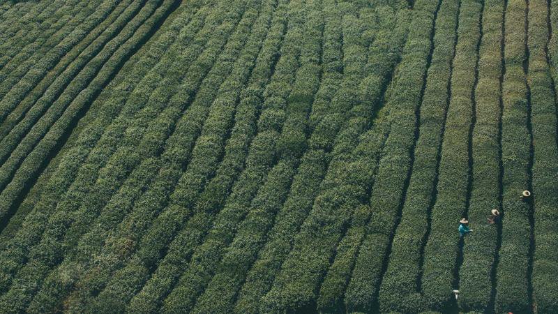 Curaçao football team in action