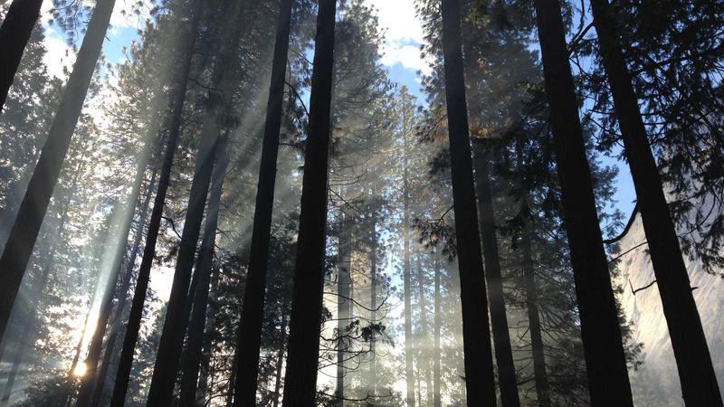 Keito Nakamura mercancía oficial Selección de Japón