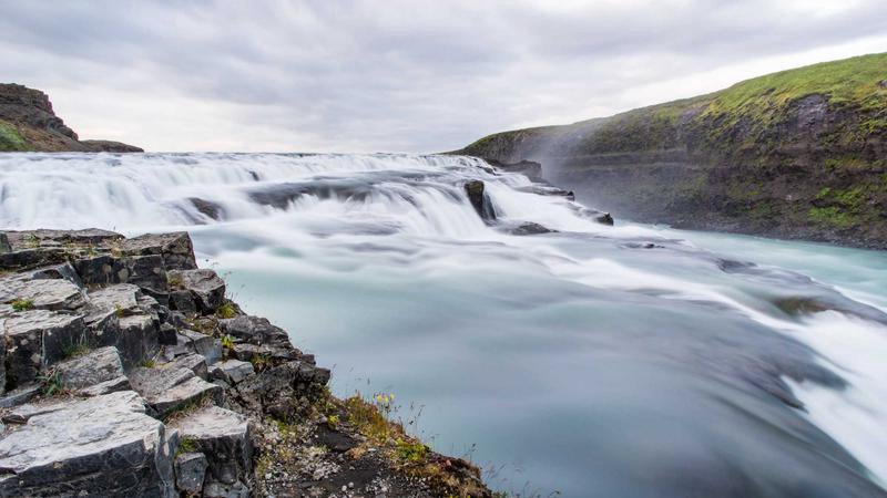 “2026年アカデミー賞のレッドカーペットに登場したローズ・バーン”