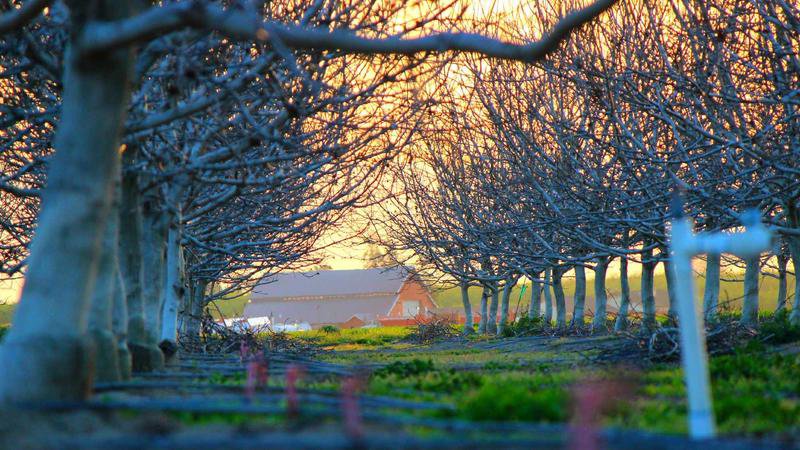 Screenshot of the TRA Booking App interface