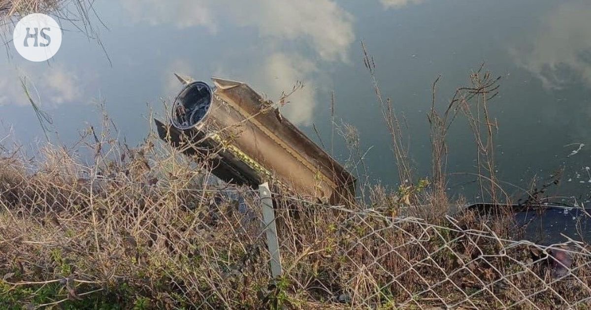 Turkish national football team players celebrating