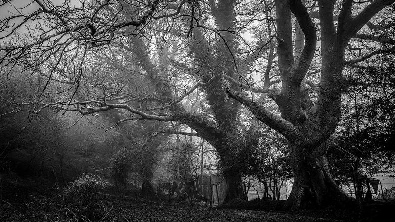 Hummel 1.FC Köln new kit