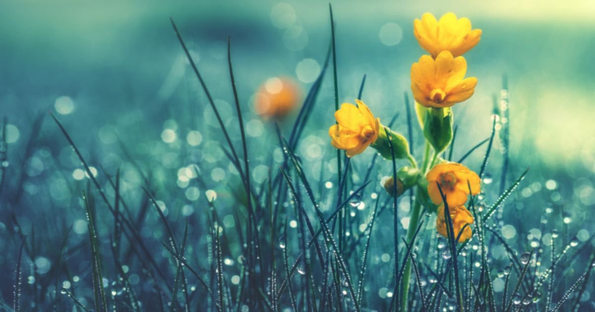 Coverfoto av en våt og grå dag med snø