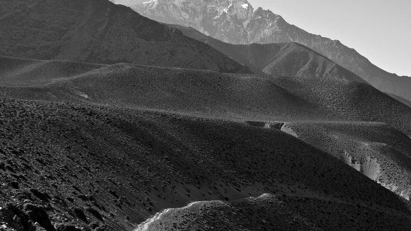 Cover Vanished Serie