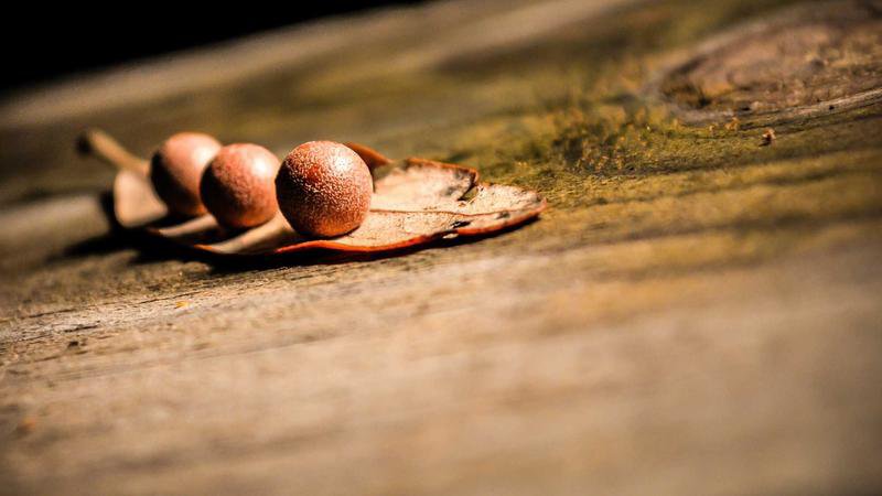 WSD treibt Innovationen voran: Von Tai Kok Tsui über Tai Po bis Kowloon Bay – Einblicke in zukünftige Geschäftschancen der Wasserinfrastruktur in Hongkong