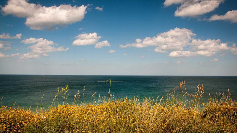 Liverpool vs Tottenham Premier League clash set to kick off