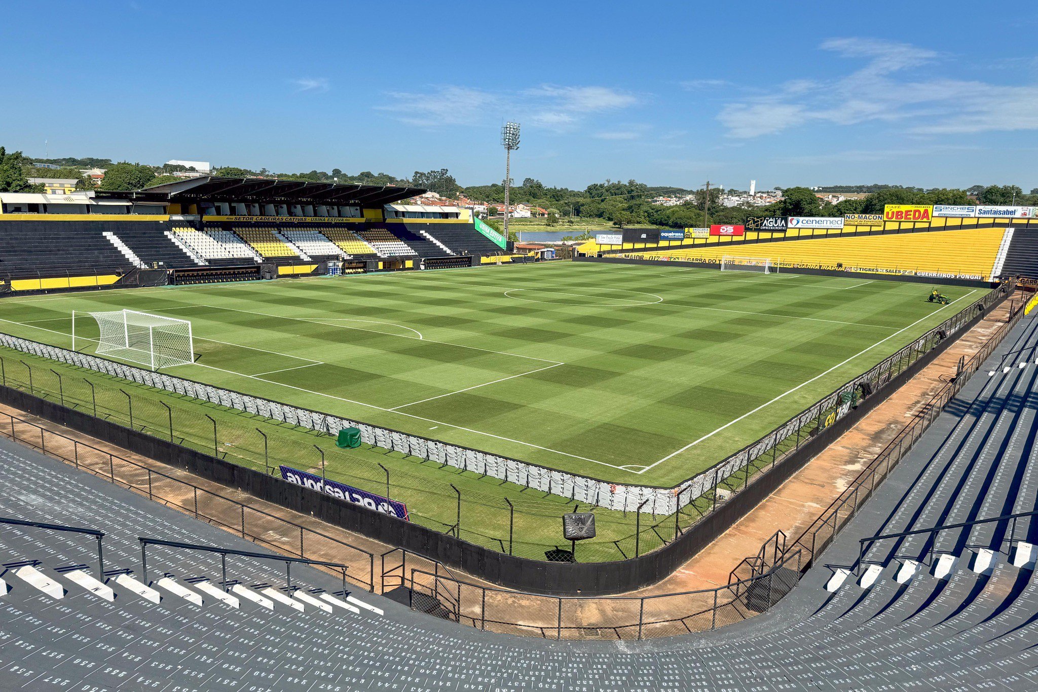 Jogadores do Novorizontino comemoram gol