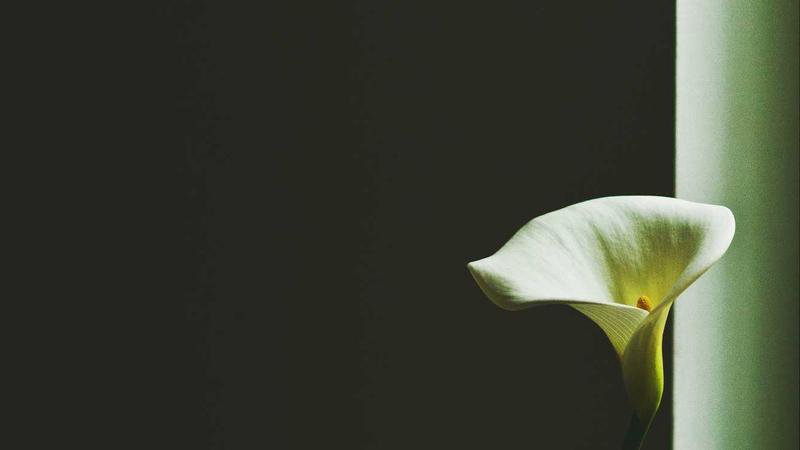 Keito Nakamura selección japonesa merchandising oficial