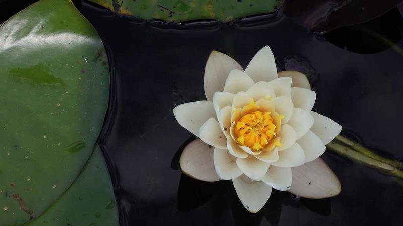 Cover Vanished Serie