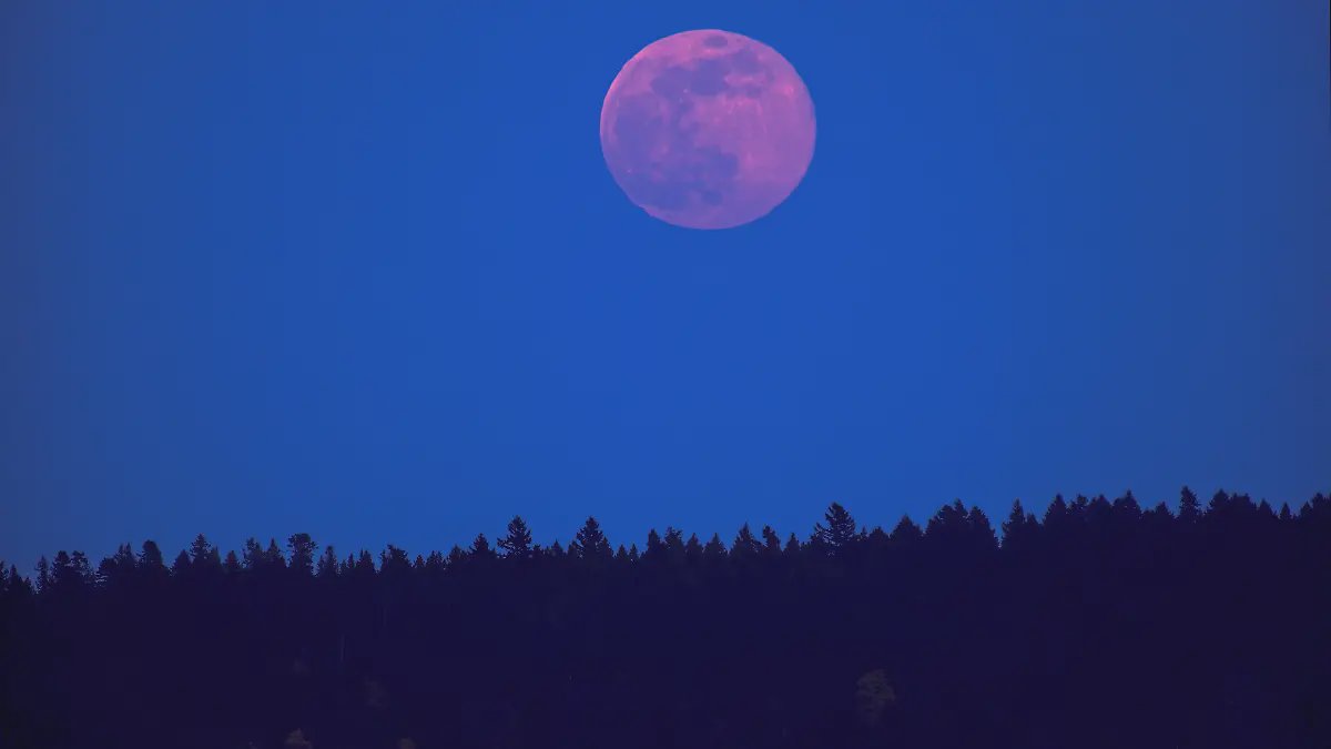 القمر الوردي فوق البحر