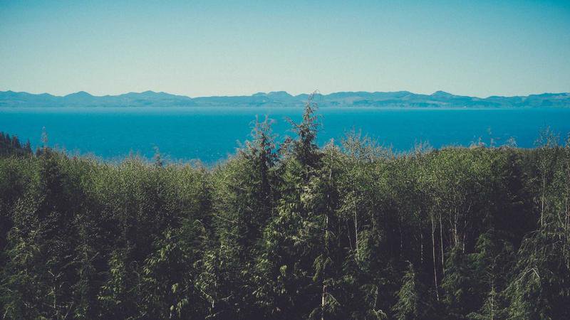 Harmonious relationship between a domestic helper and a Taiwanese family