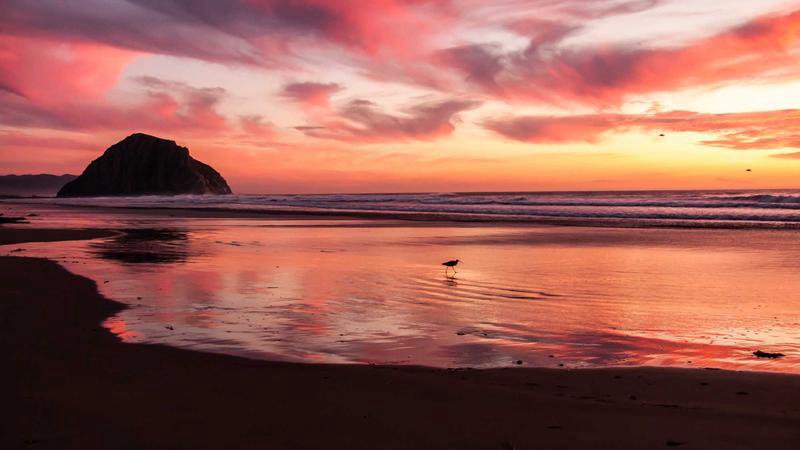 A harmonious relationship between a domestic helper and a Taiwanese family