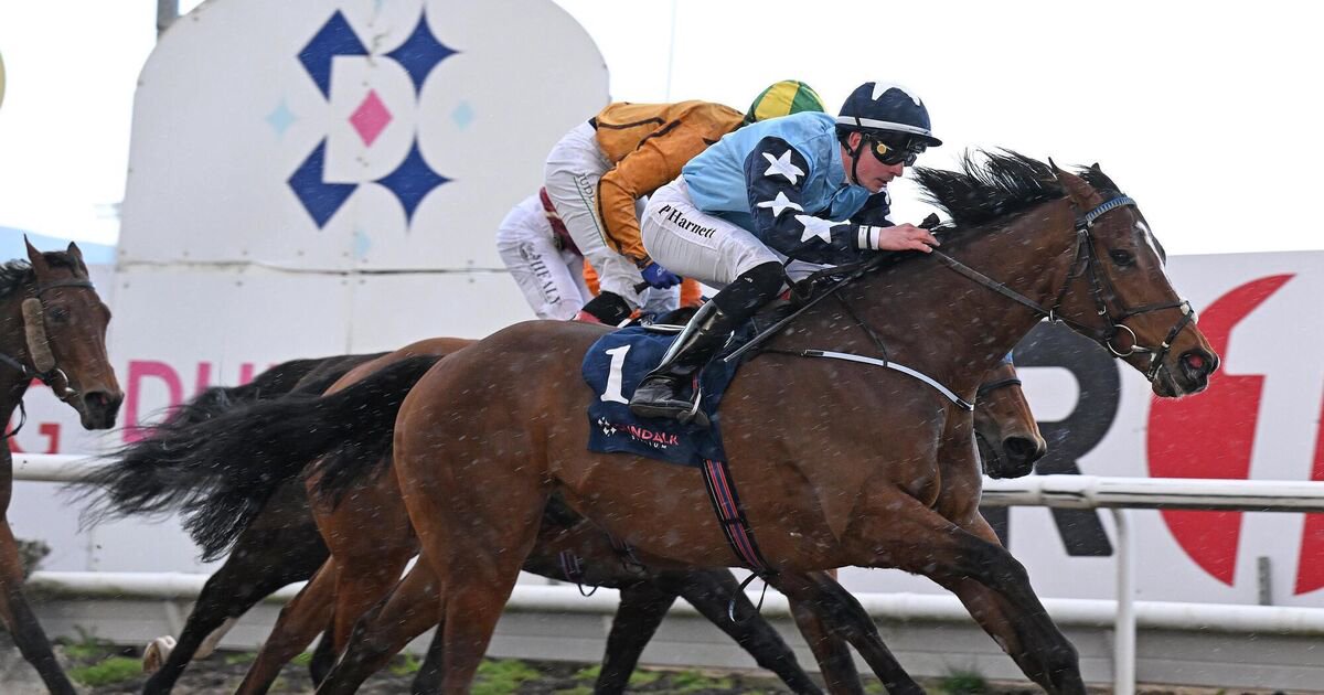 Hipódromo de Dundalk sob refletores