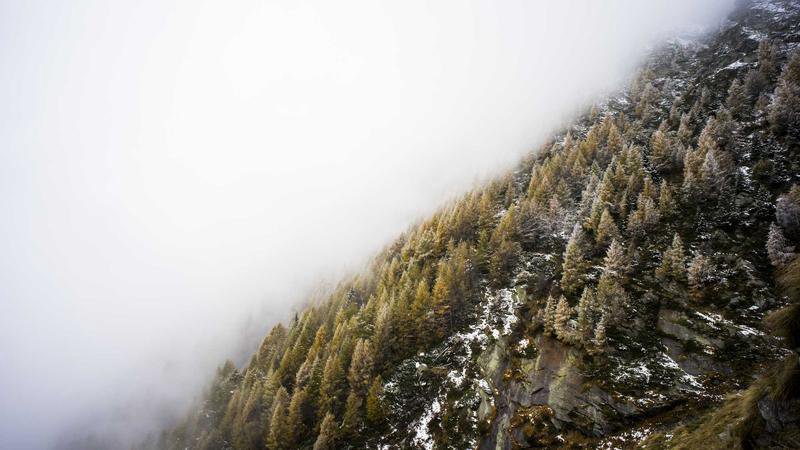 Bild på Engelska ligacupen