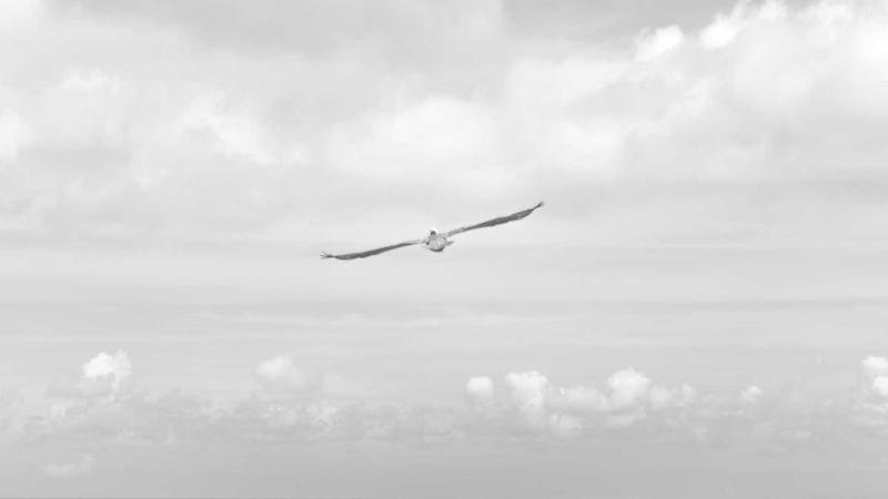 Curaçao football team in action