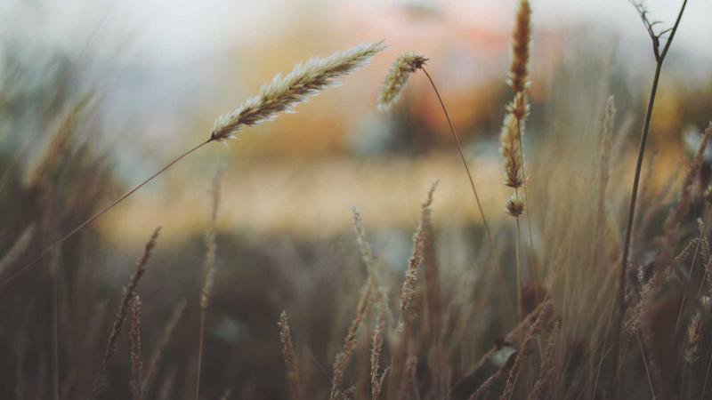 Screenshot of the Train Booking App interface