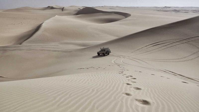 Cover image for the article about current trends