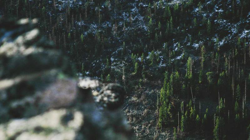 Si avvicina la grande sfida di Premier League tra Liverpool e Tottenham