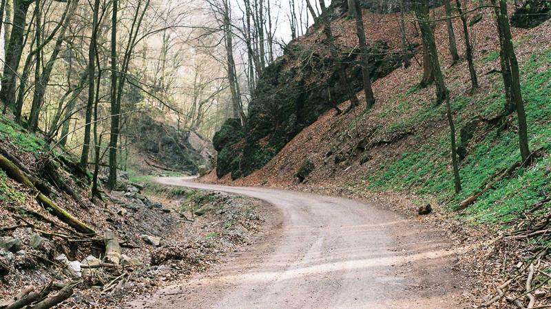 Inför Premier League-matchen mellan Liverpool och Tottenham