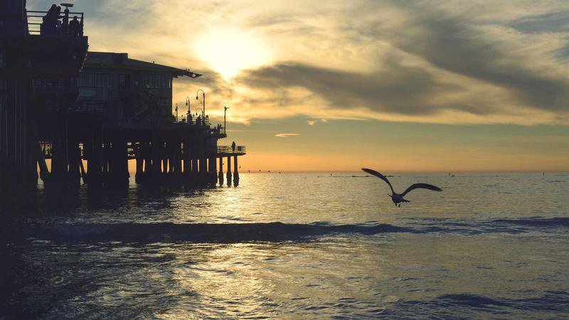 Cover Bild für den Artikel über aktuelle Trends