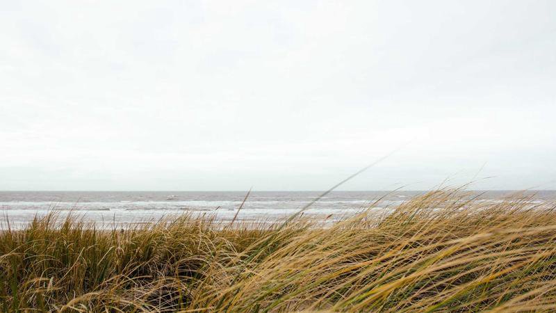 صورة الغلاف