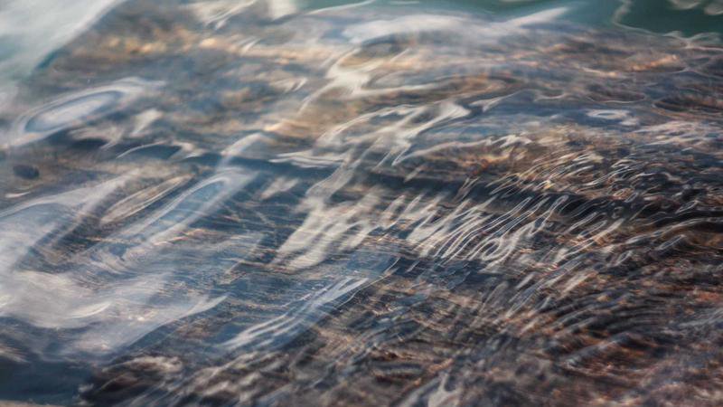 صورة الغلاف