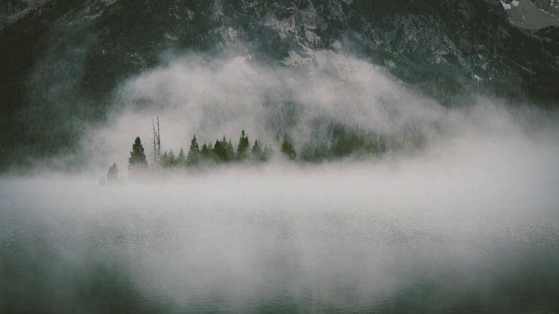 صورة غلاف لمقال حول أبرز الاتجاهات الرائجة