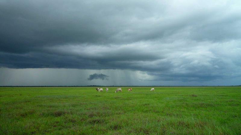 MyTV SUPER Latest Version Cover Image