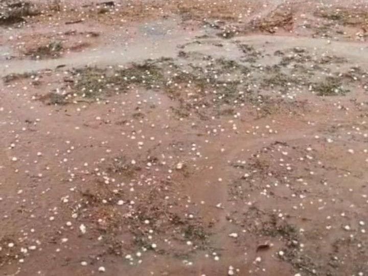 توقعات الطقس ليوم غد