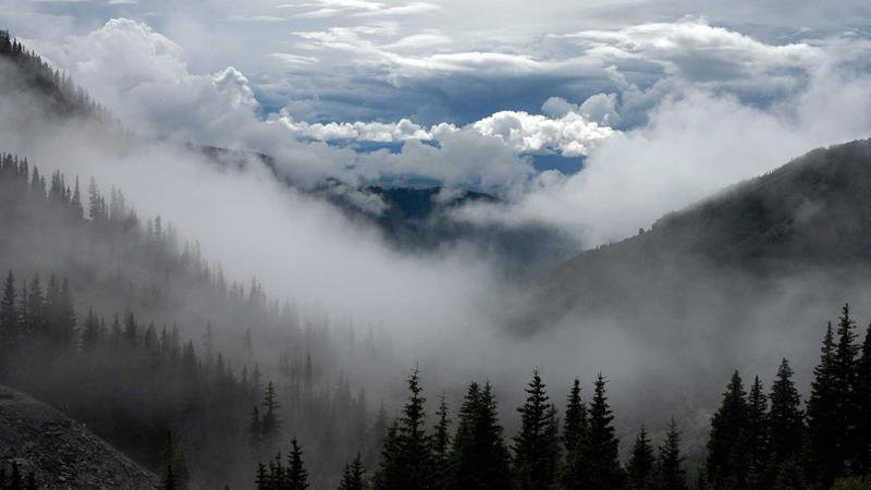 Pokémon Frenda cover image