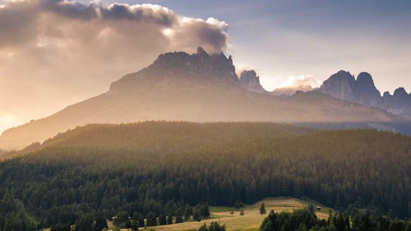 ポケモンフレンダ カバー画像