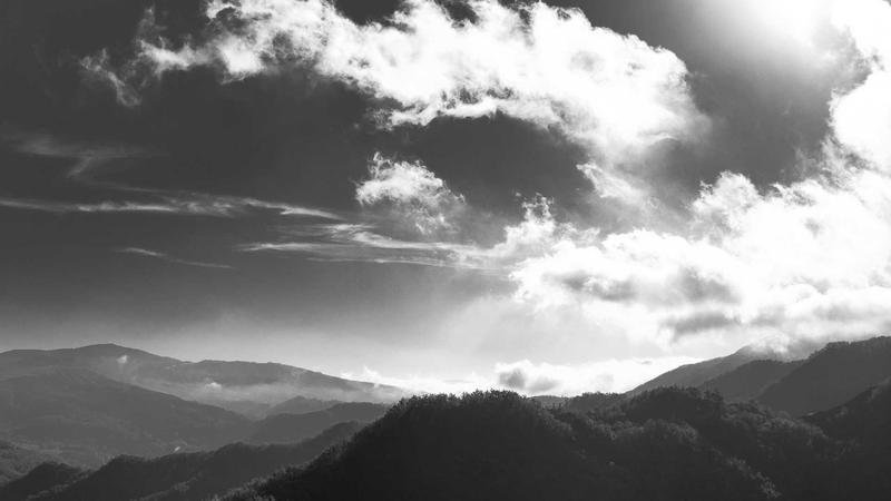 Mercor platform concept illustration