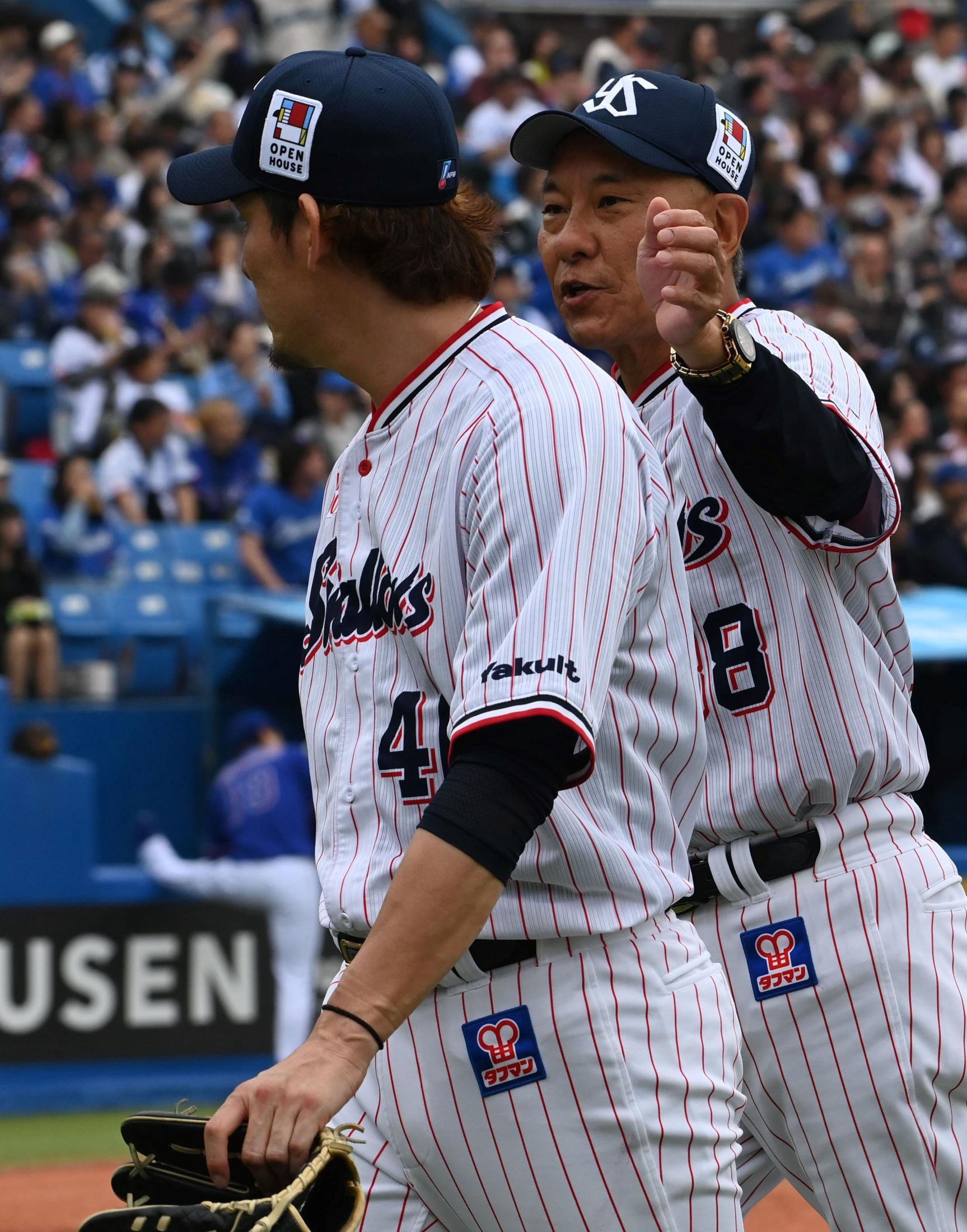 Yakult Swallows Game Highlights