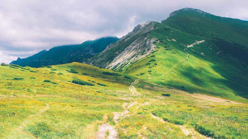 Imagem de capa do Pokémon Frenda