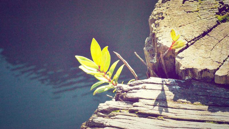 Mercor platform concept illustration