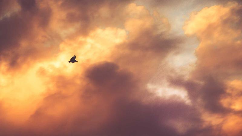 Konzeptillustration der Mercor-Plattform