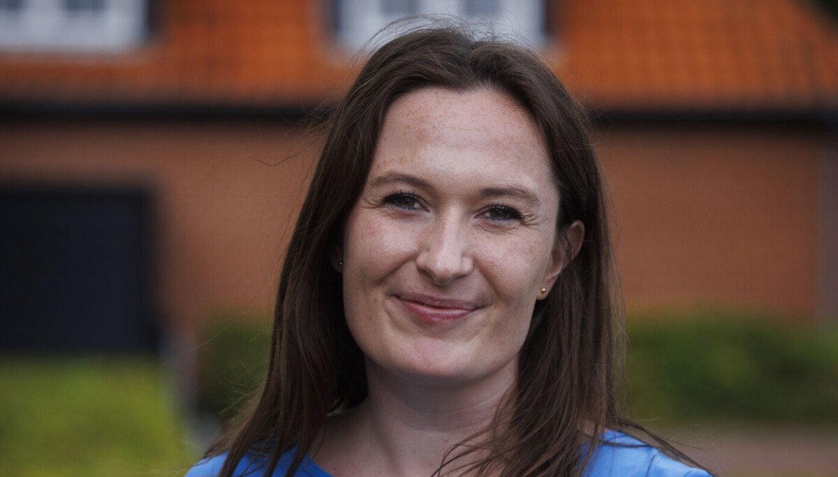 Kærlighed hvor kragerne vender