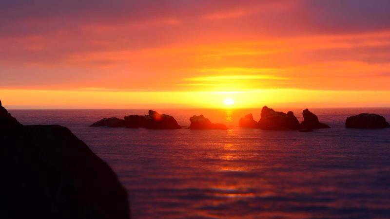 Pokémon Frenda Titelbild