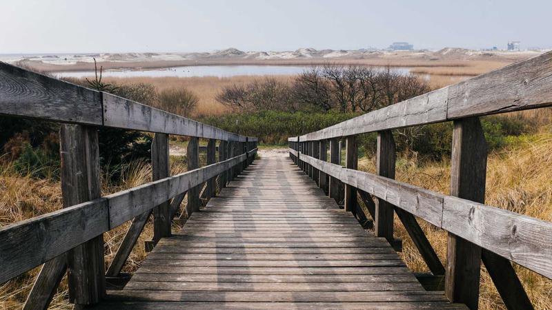 Imagen de portada del traje de baño de Gao Haining