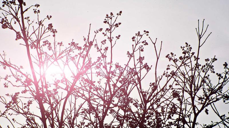 Modern city bus in Switzerland with clear route and schedule displays