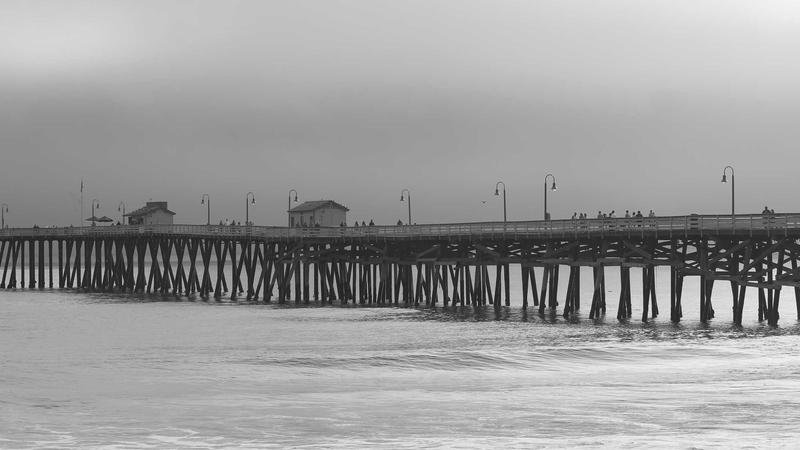 新冠病毒BA.3.2變異株資訊