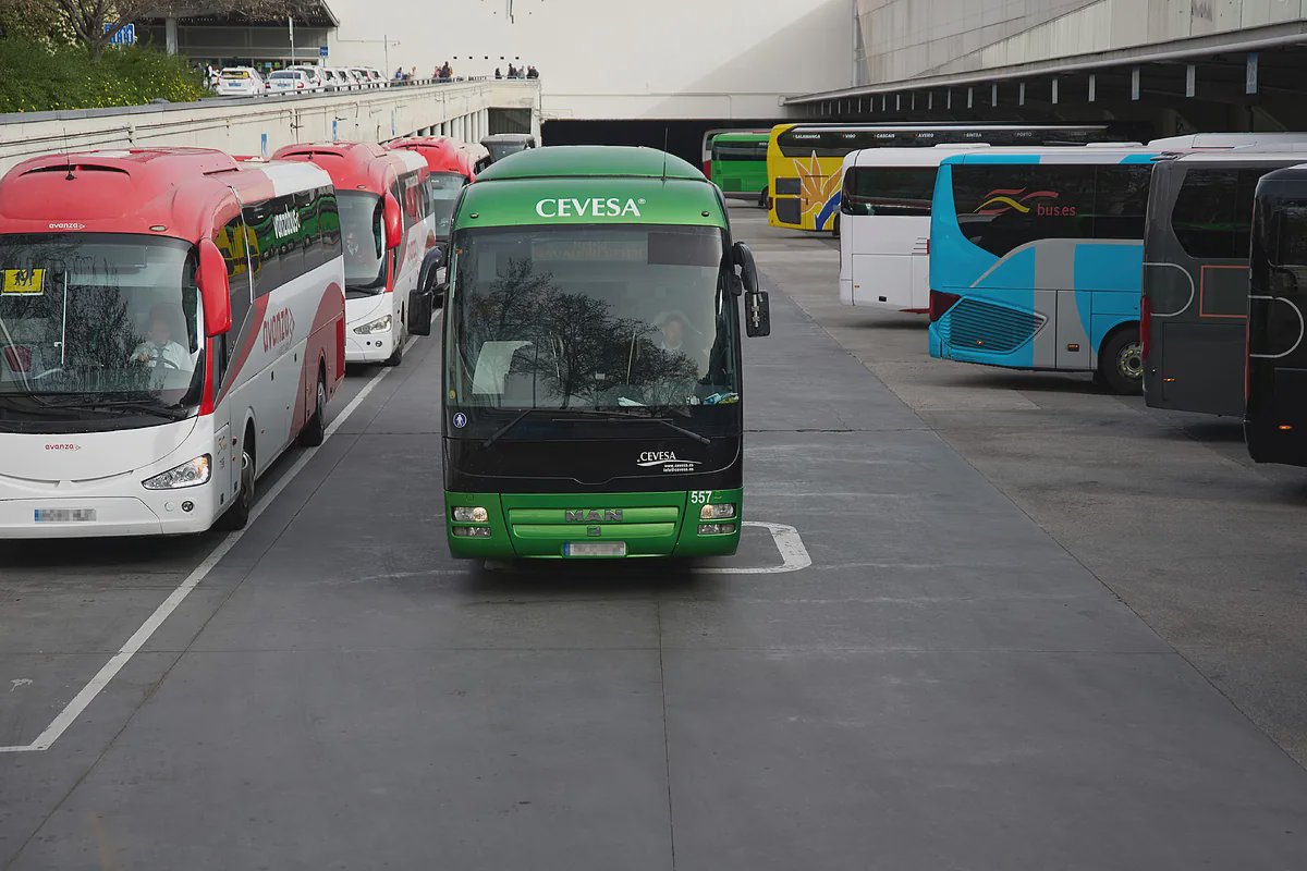 Autobuses atrapados en el caos de Ibiza