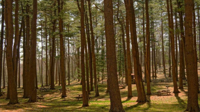 Moderne stadsbus in Zwitserland met duidelijke vertrektijden