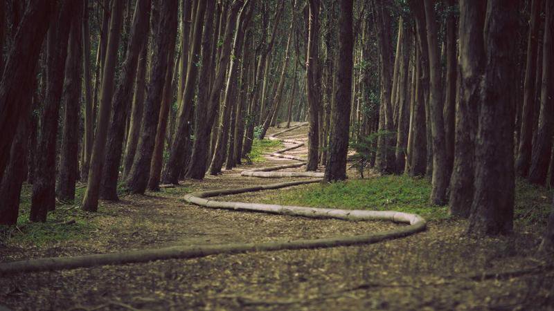 Mercor platform concept illustration